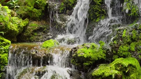 A waterfall cascading down in tiers against a backdrop of lush green ferns Stock Footage 314503674