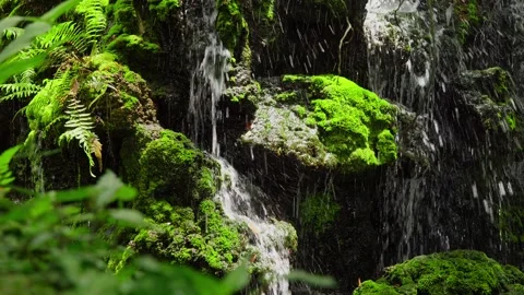 A waterfall cascading down in tiers against a backdrop of lush green ferns Stock Footage 314503683