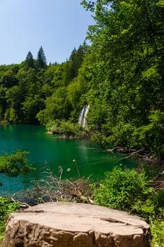 Waterfall cascading into emerald lake framed by forest and tree stump, Plit.. Stock Photos