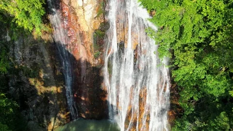 Waterfall Cascading into Forest Pool Stock Footage 313455959