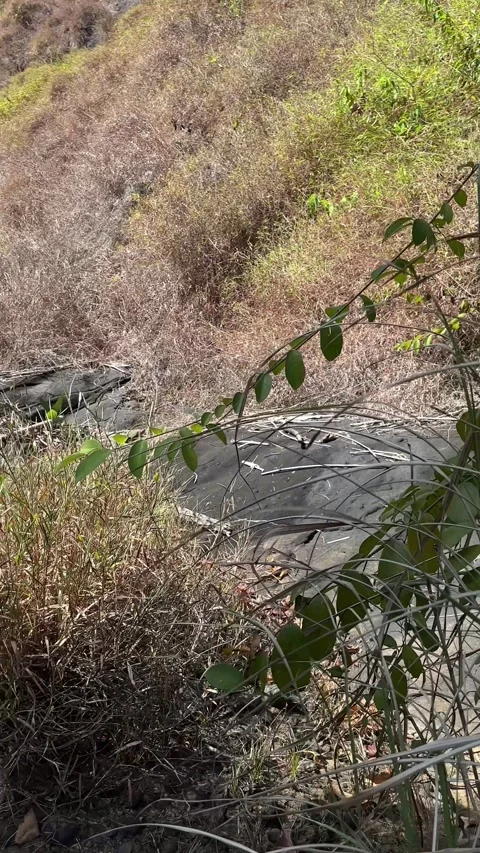 Waterfall Cascading Over Dark Rocks in Forest, Sunny Day, Vertical Reveal Shot 스톡 동영상 324770050