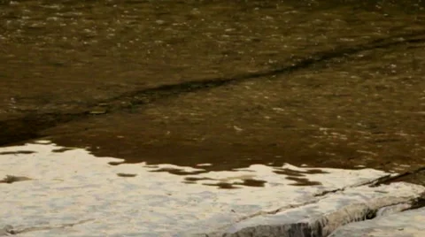 Waterfall Cascading Over Ledge, Lush Forest Waterfalls Stock Footage 50415509