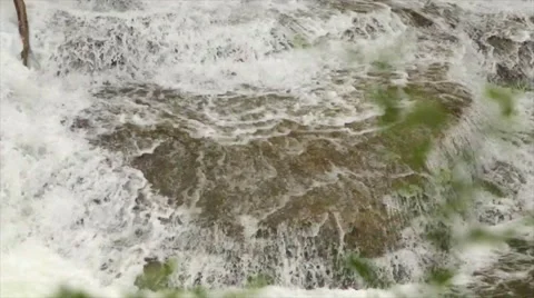 Waterfall Cascading Over Ledge, Pan to Plant ,  Lush Forest Waterfalls Stock Footage 50415282