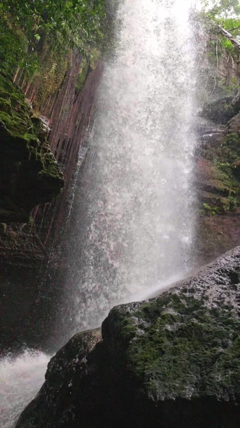 Waterfall Cascading Over Mossy Rocks in Guaviare Stock Footage 336521207