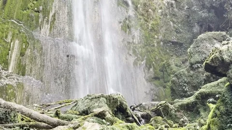 Waterfall Cascading Over Mossy Rocks in Papua Highland Forest, Wamena 스톡 동영상 346343310