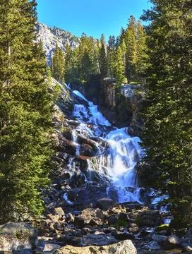 Waterfall Cascading Over Rocks Surrounded by Pine Trees and Mountain Scenery Stock-Fotos