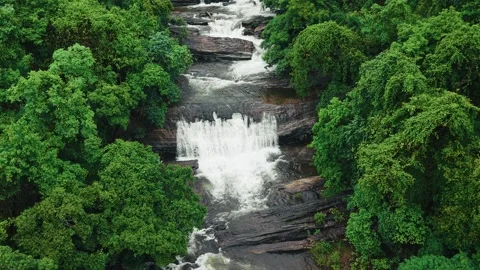 Waterfall cascading over rocks through dense green tropical rainforest ravine Stock Footage 340813814