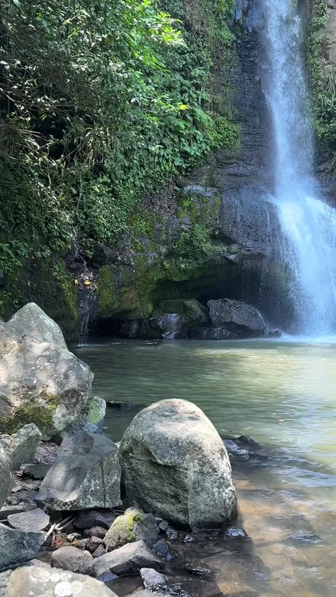 Waterfall Cascading into Pool in Tropical Forest Vertical Shot Stock Footage 324073682