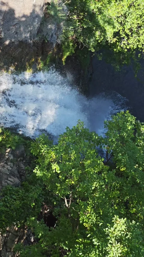 Waterfall cascading into a river surrounded by lush green vegetation Vidéo 310409013