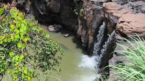 Waterfall Cascading Rock Gorge Jungle Vegetation Stock Footage 341023387