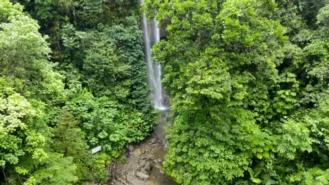 Waterfall cascading through dense green foliage Stock Footage 330278384