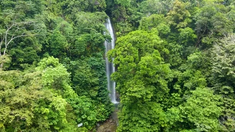 Waterfall Cascading Through Dense Greenery Stock-Footage 330278401