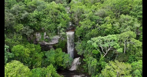 Waterfall Cascading Through Dense Greenery in Guaviare Stock Footage 336568219