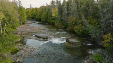 Waterfall cascading through the forest Stock Footage 256942088