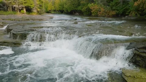 Waterfall cascading through the forest Stock Footage 256942104