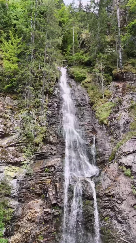 Waterfall Cascading Through Green Forest in Carpathian Mountains Stock Footage 334321556