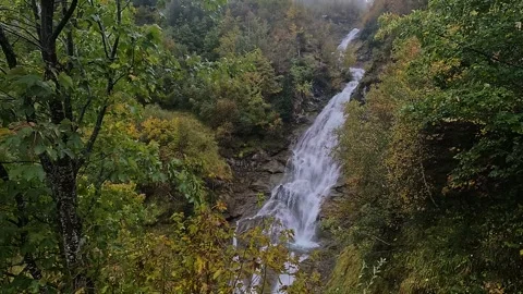 Waterfall Cascading Through Lush Forest Stock Footage 314942685