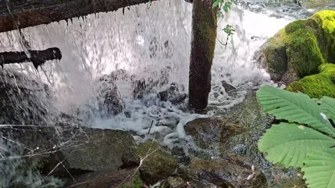 Waterfall Cascading Through a Lush Forest Stream in a Peaceful Setting Stock Footage 345199277