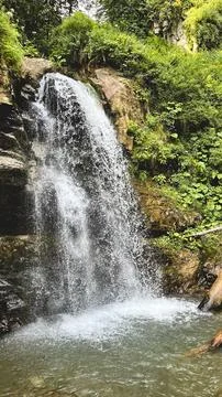 Waterfall cascading through a lush forest landscape Stock Photos