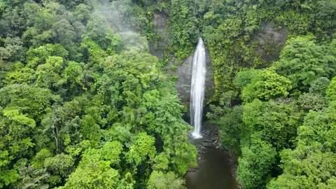 Waterfall cascading through lush green jungle in Buenaventura Stock Footage 330278311