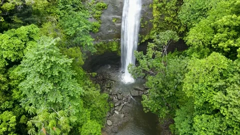 Waterfall cascading through lush green jungle in Buenaventura Vídeo Stock 330278317