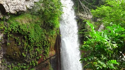 Waterfall Cascading Through Lush Green Landscape in Guaviare Stock Footage 336521405