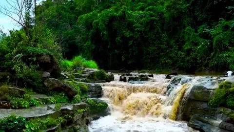 Waterfall Cascading Through a Lush Green Jungle Stock Footage 337944538