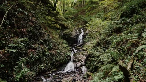 Waterfall cascading through lush green forest gorge 動画素材 347734714