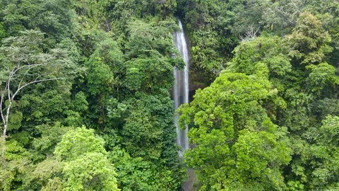 Waterfall cascading through lush greenery Video stock 330278406