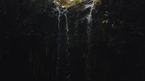 Waterfall cascading through lush jungle slow motion Stock Footage 319467907