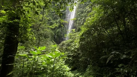 Waterfall Cascading Through Lush Tropical Jungle, Rocky Path, Upward Reveal Shot Video stock 324769549