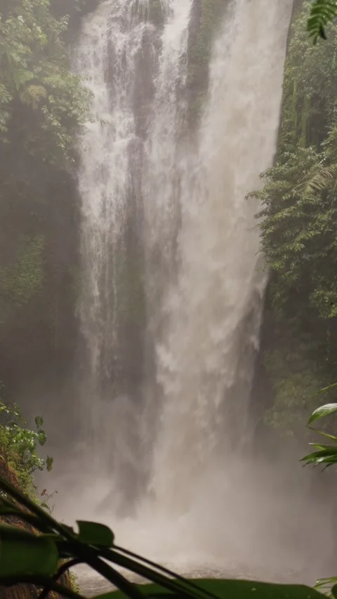 Waterfall cascading through lush tropical forest foliage 動画素材 340845599