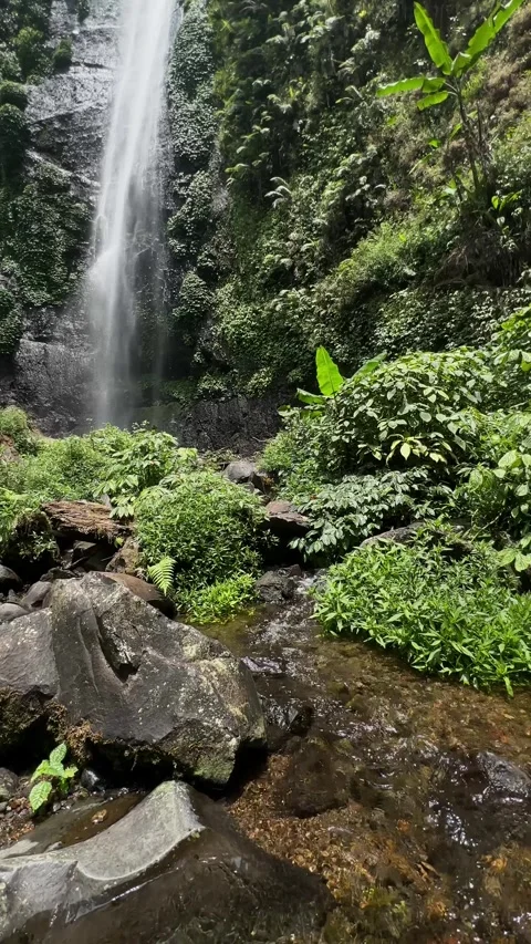 Waterfall Cascading in Tropical Jungle, Stream with Rocks, Vertical Pan Up Stock Footage 324851580