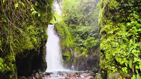 Waterfall cascading into a turquoise pool in mossy rainforest - Costa Rica Video stock 347884669