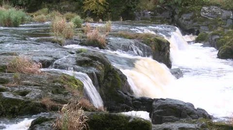 Waterfall at Cenarth in Wales 動画素材 66536544