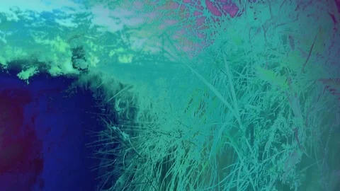 Waterfall Chick Stock Footage 78335365