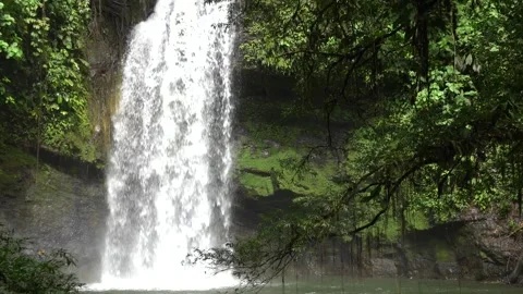 Waterfall in the Chocó Rainforest, Ecuador Stock Footage 317024360