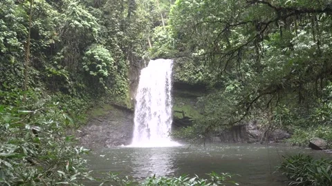Waterfall in the Chocó Rainforest, Ecuador Stock-Footage 317024373