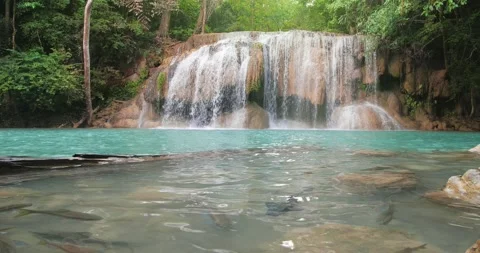 Waterfall clear emerald water with fish for holiday relax travel in green jungle Stock Footage 169557937