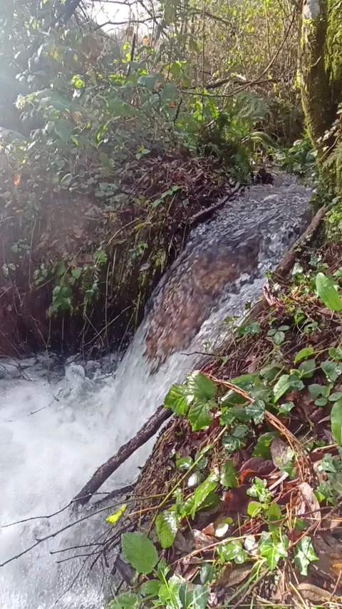 Waterfall on a clear mountain stream in early spring Stock Footage 236644583
