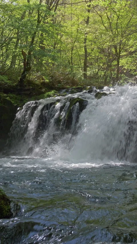 Waterfall Into Clear Pool With Mossy Boulder Vertical Video 库存影片 346073748