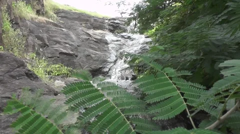 Waterfall from Cliff Nature Scene Stock Footage