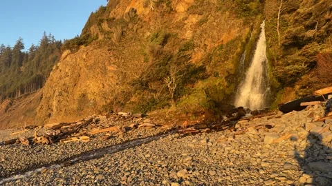 Waterfall from cliff on the the Oregon Coast at sunset Video stock 329449406