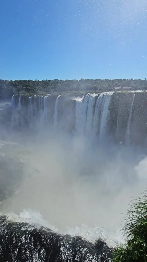 Waterfall Cliff With Wind-Blown Grass, Iguazu, Argentina – Vertical 4K Video stock 306473109