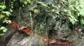 Waterfall close up 20110426 144144 HD Footage