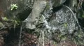 Waterfall close up 20110426 144253 HD Footage