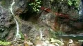 Waterfall close up 20110426 144343 HD Footage