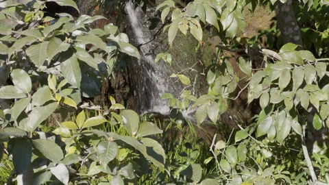 Waterfall Close-up Angle 스톡 동영상 316071394