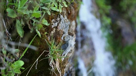 Waterfall Close Up Video stock 83496685