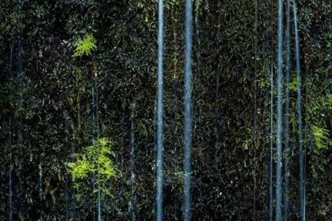 Waterfall close up Stock Photos